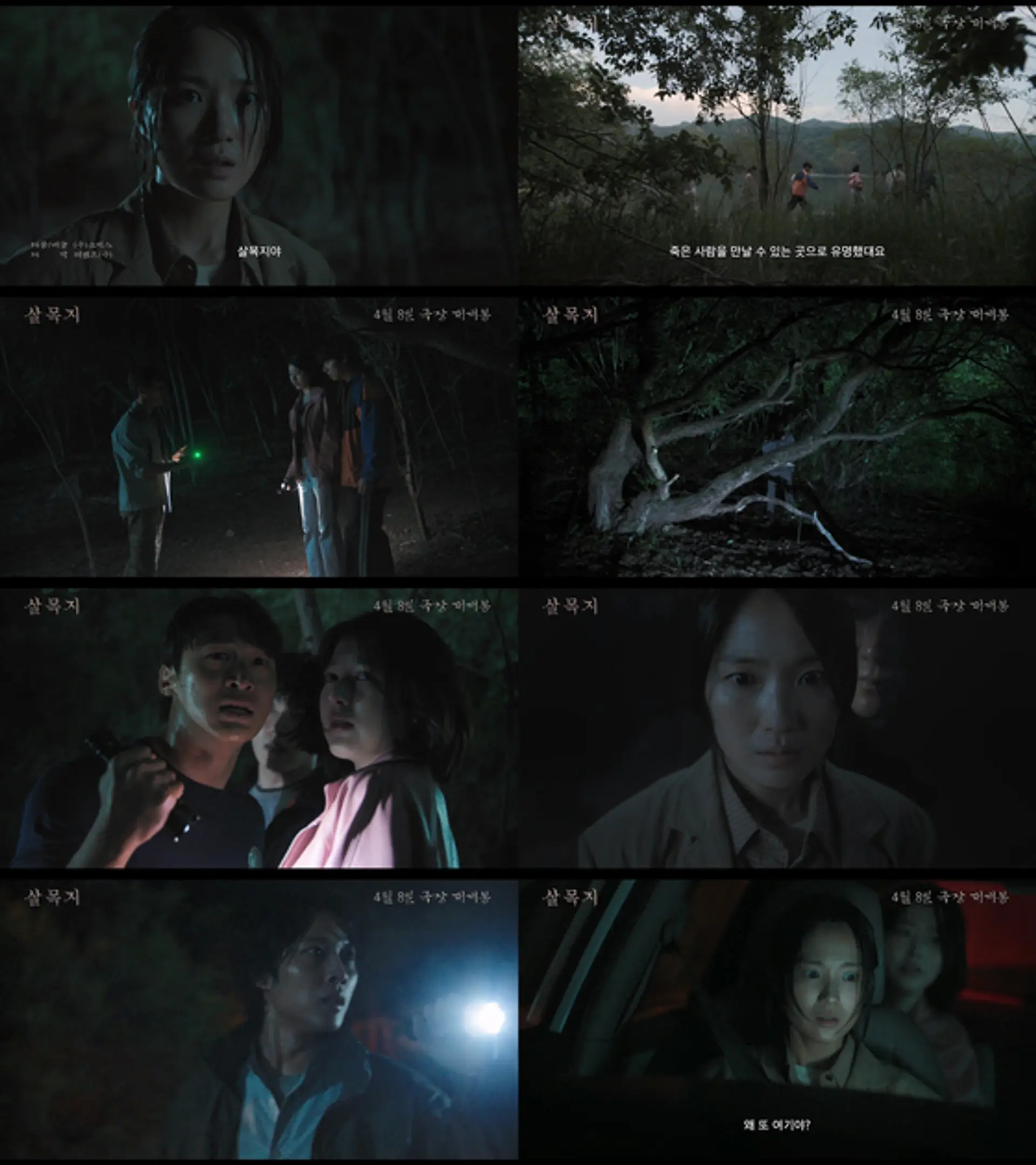 "살아서는 못 나온다"… 김혜윤·장다아 '살목지' 4월 8일 개봉