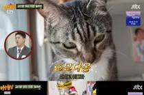 'Knowing Brothers' Song Ha-bin, 'Flirting Dance' Shocks the Brothers... Studio in Chaos
