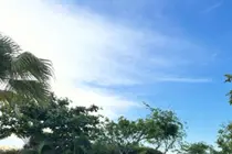 경수진, 베트남서 뽐낸 38세 무결점 비키니 자태