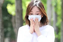 황하나, 캄보디아 도피 1년 만에 체포...입국 직후 국내 송환 및 마약 조사 착수
