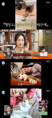 《我独自生活》中的玉子妍，救助与收养失明危机的流浪猫...心灵之美如其面容般美丽