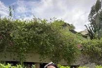 Lee Joo-yeon Shows Off Bikini Figure in Bali... 