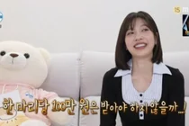 레드벨벳 조이 '나혼산' 애견미용 도전...