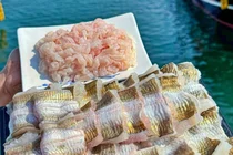 '생생정보' AI 추천 여수 맛집, 여름 별미 갯장어샤부샤부