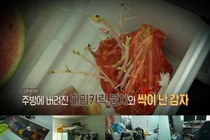  '결혼 지옥' 김밥지옥 부부의 충격적 위생 실태 