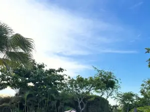 경수진, 베트남서 뽐낸 38세 무결점 비키니 자태