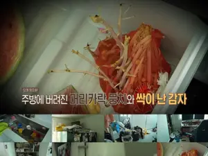  '결혼 지옥' 김밥지옥 부부의 충격적 위생 실태 