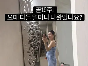 '김준호♥' 김지민, 임신 19주 차 D라인 공개…출산 예정일 및 근황 총정리