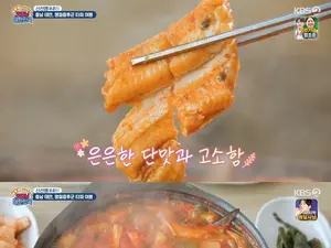 '굿모닝 대한민국' 태안 붕장어두루치기 맛집 위치… 천리포해수욕장 횟집 조명
