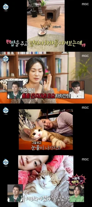 《我独自生活》中的玉子妍，救助与收养失明危机的流浪猫...心灵之美如其面容般美丽