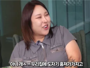 풍자 
