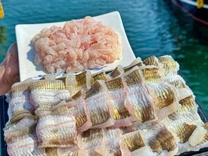 '생생정보' AI 추천 여수 맛집, 여름 별미 갯장어샤부샤부