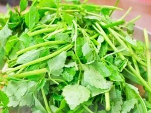 '2TV 생생정보' 미아동 47년 전통 아귀탕 맛집 화제… 허영만·맛녀석도 인정한 맛