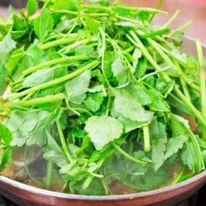 '2TV 생생정보' 미아동 47년 전통 아귀탕 맛집 화제… 허영만·맛녀석도 인정한 맛