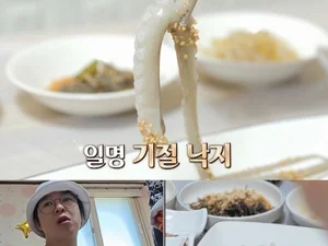 '독박투어' 무안 기절낙지 횟집 어디?… 이상준 감탄 부른 별미 식당