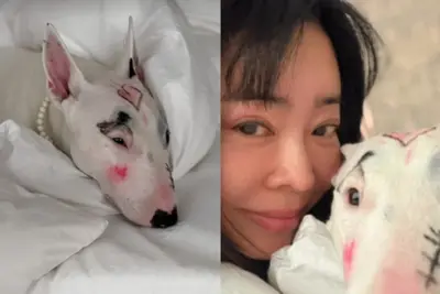 반려견 얼굴에 색조 화장 낙서한 이혜영… 동물학대 논란