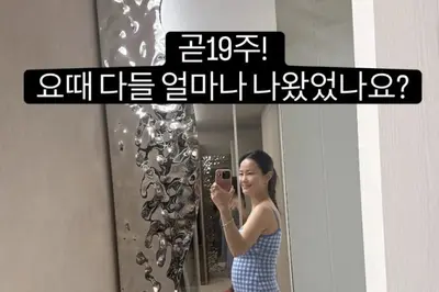 '김준호♥' 김지민, 임신 19주 차 D라인 공개…출산 예정일 및 근황 총정리