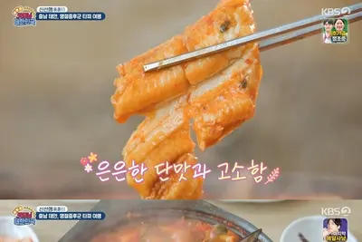 '굿모닝 대한민국' 태안 붕장어두루치기 맛집 위치… 천리포해수욕장 횟집 조명