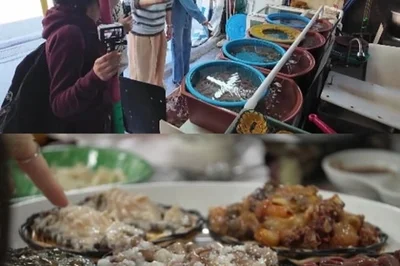 전현무계획3, 전현무와 김혜은의 뜻밖의 과거 인연 공개… 부산 해녀 맛집 투어
