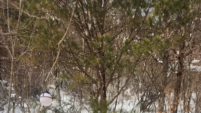 기안84, 스태프 150명 전원에 사비 털었다…'기안장2' 훈훈한 미담