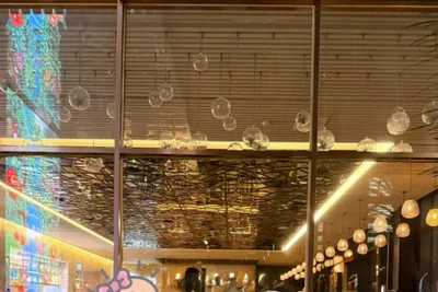 손예진·현빈 부부, 3살 아들이 찍은 투샷 공개 