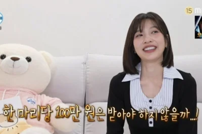 레드벨벳 조이 '나혼산' 애견미용 도전...