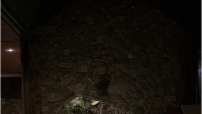 박지윤, 비키니 차림으로 제주 펜션 수영장 접수… 