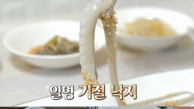 '독박투어' 무안 기절낙지 횟집 어디?… 이상준 감탄 부른 별미 식당
