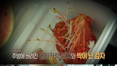  '결혼 지옥' 김밥지옥 부부의 충격적 위생 실태 