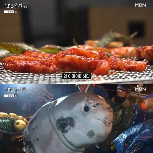 '전현무계획4' 포항 개복치대창구이·모리국수 식당 위치와 매력은?