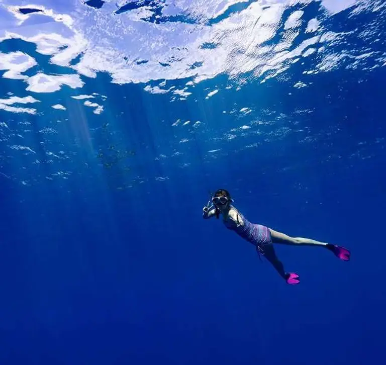 바닷속을 유영하는 신지