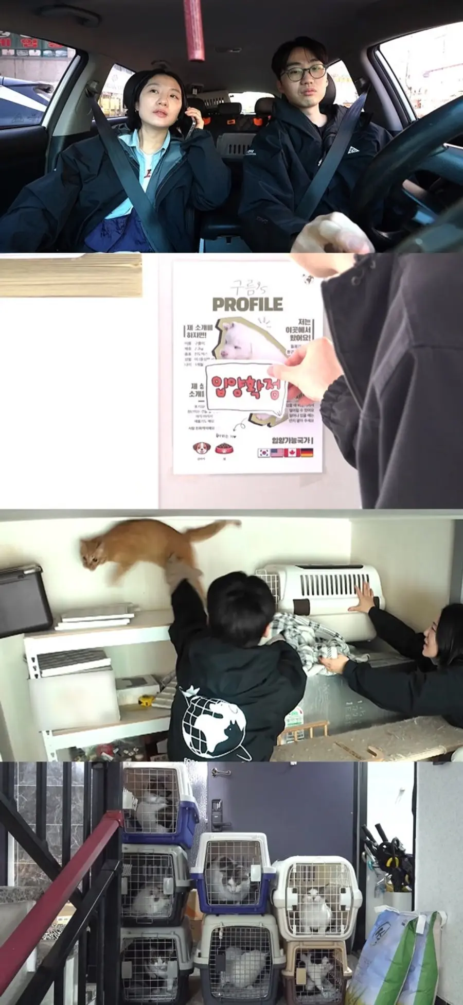 전지적 참견 시점 이강태 구조 현장