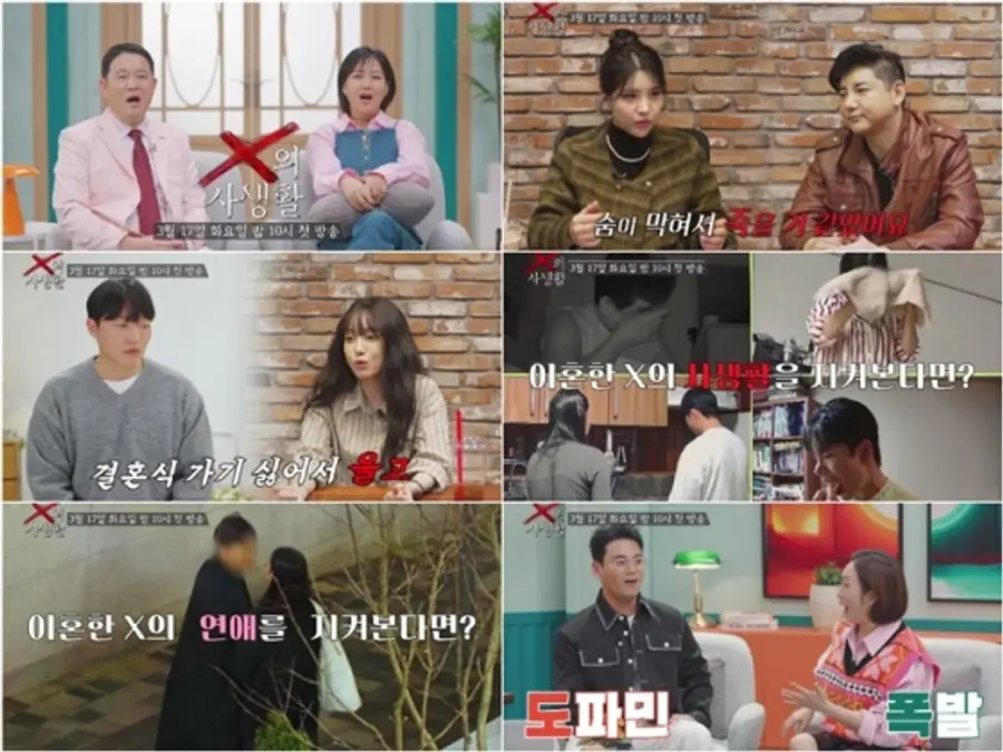Choi Go-gi Yu Kkaenip adegan penampilan di X's Private Life