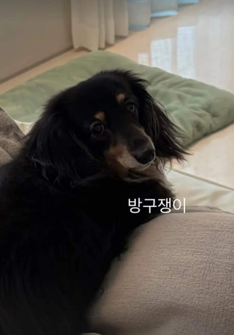 정경호 SNS