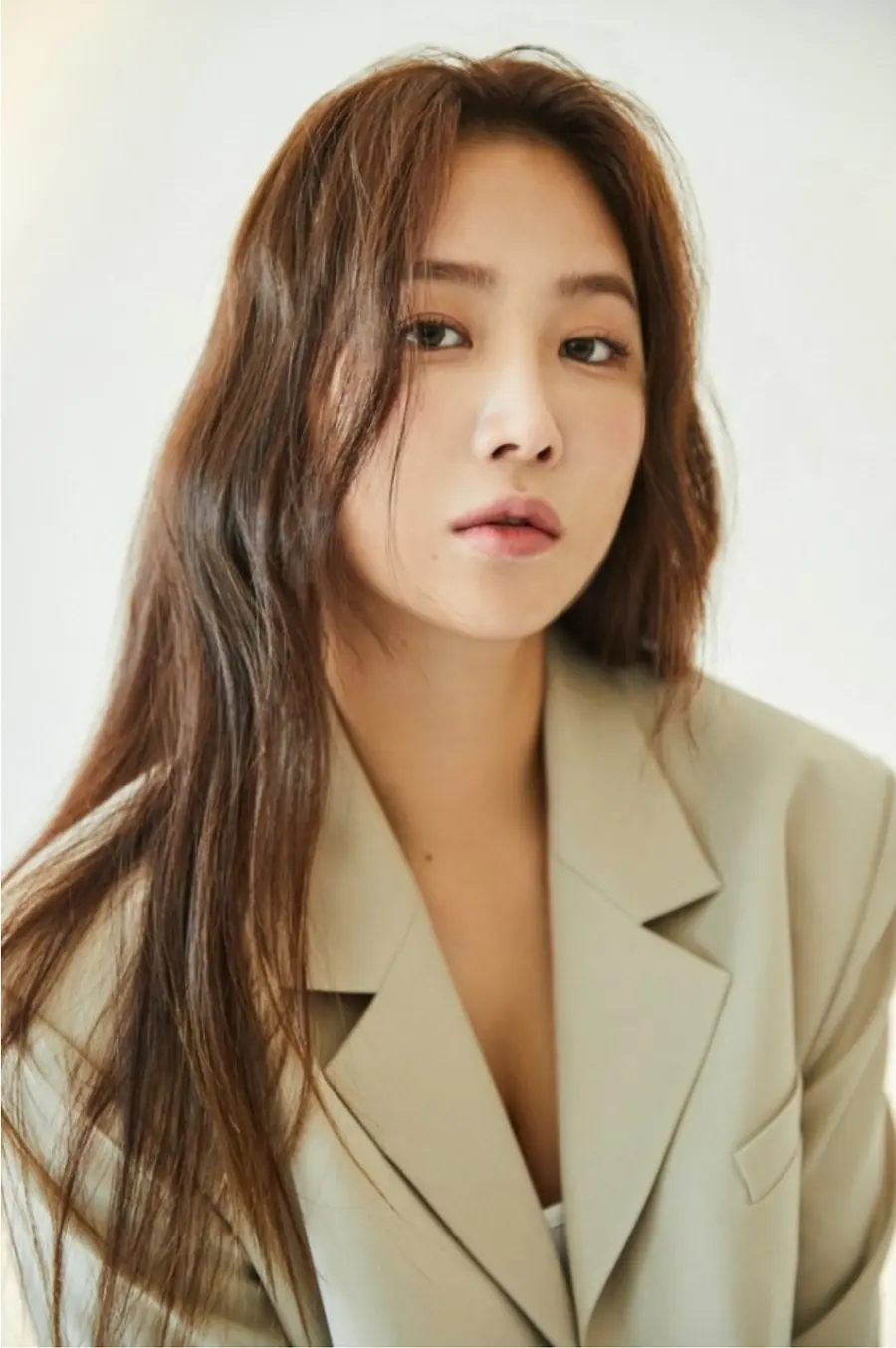 가수 소유