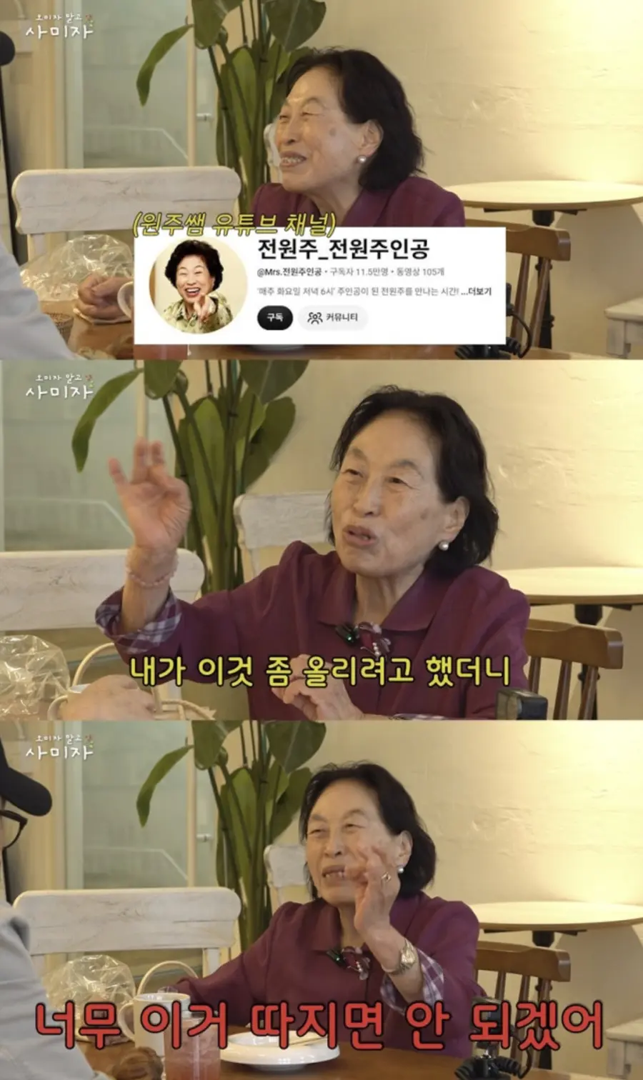 유튜브 채널 '오미자 말고 사미자'