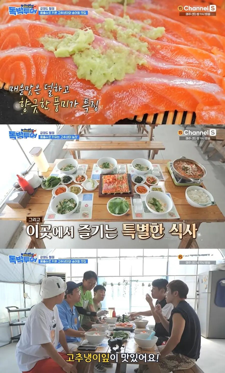 채널S '끝까지 간다 독박투어'