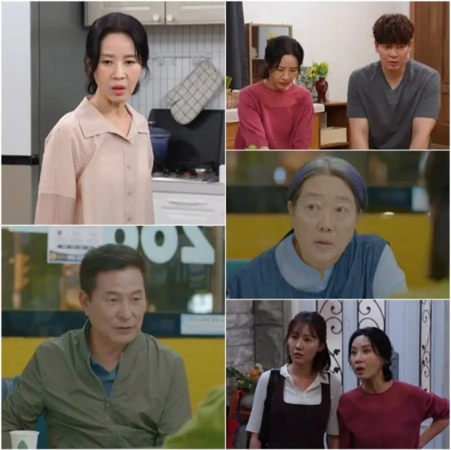 KBS 1TV 일일드라마 '엄마가 미쳤어요'